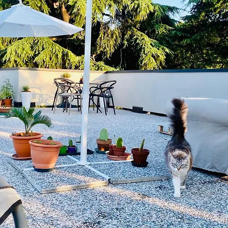 The Luxory Cat Bed & Breakfast Milano