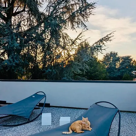 فندق مبيت وإفطار The Luxory Cat
