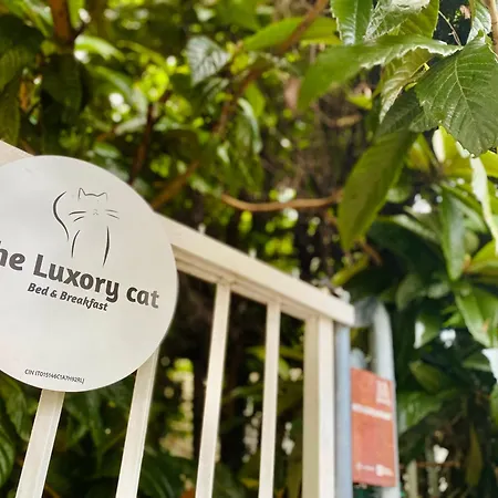 The Luxory Cat * Milano