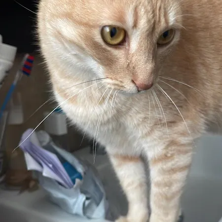 Diana Vicino Stazione E Centro Citta Lejlighed Milano