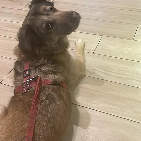 Diana Vicino Stazione E Centro Citta * Milano