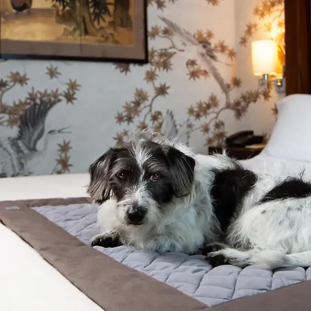 Enterprise Design & Boutique Otel