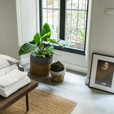 Greenhouse By Costanza *