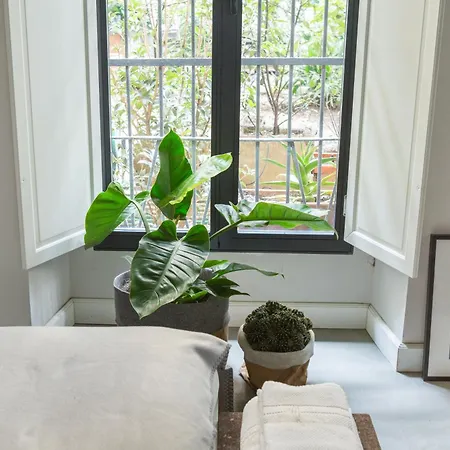 Greenhouse By Costanza Apartment Milan