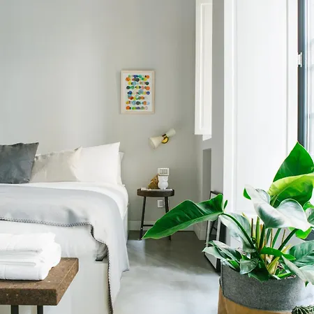 Greenhouse By Costanza Apartment *