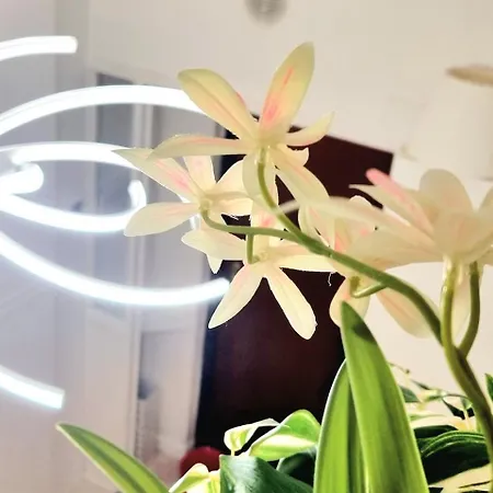 Isola Brera Duomo - Antica Atmosfera - Lovable Cozy Appartement