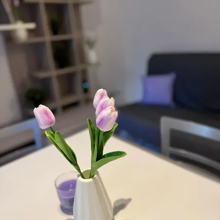 Apartment Casa Corner