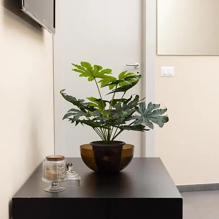 Corvetto House By Barbarhouse *