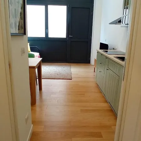 Apartment Greenhouse Sangallo-confort E Servizi Di Qualita *