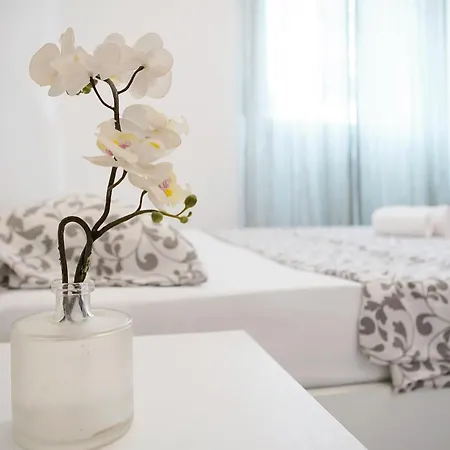 Appartement Toma Trilocale Moderno Per Max 6 Persone