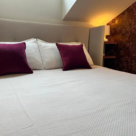 Solferino Loft דירה *