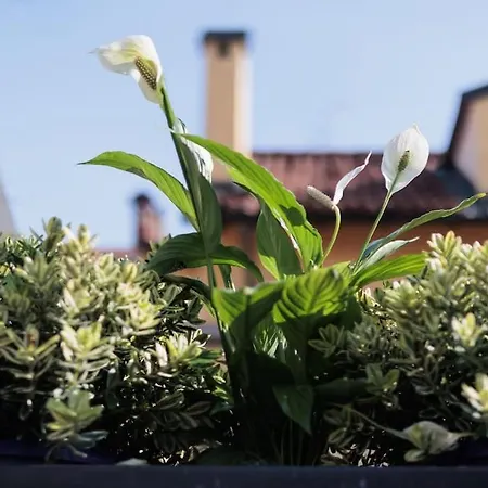 Apartment Urban House - Bright House Navigli Center