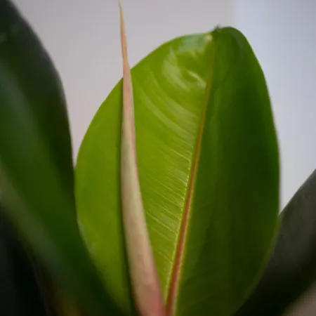 Marla Brera Center Apartment Lägenhet Milano