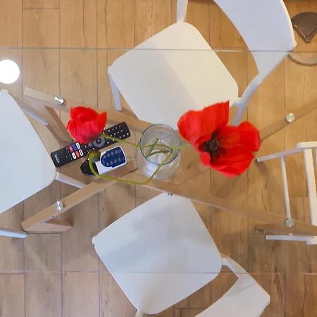 Primopiano - Legioni Romane *