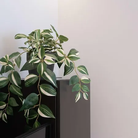 Apartment 18 Centro Duomo