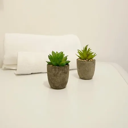 Apartament With Terrace In Bovisa *