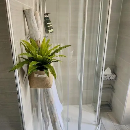 Cozy Gambara - Sansiro