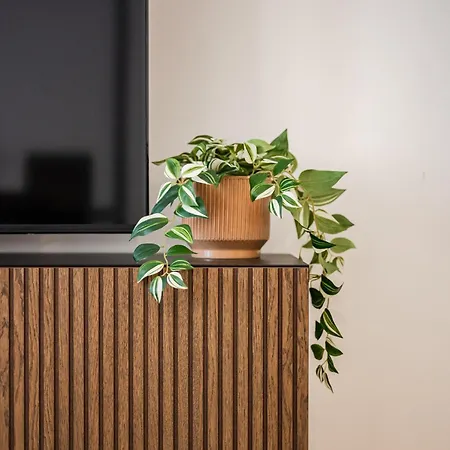 Moderno Con Terrazza & Palestra Apartment *