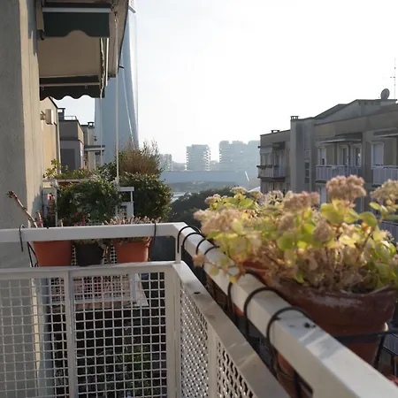 Momo House Citylife *