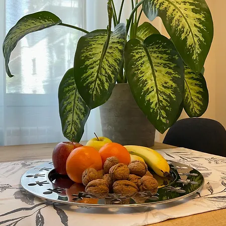 Modern And Cozy In Daire *