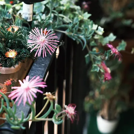 Comecasa Flowery Terraced Milán