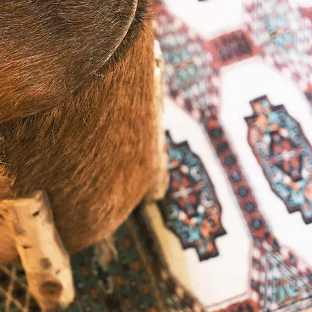 Comecasa Porta Nuova * Milaan