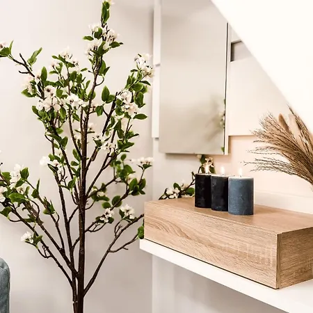 Serenity Chinatown Sarpi - Monolocale Yang Apartment