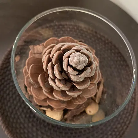 Note D'artista-duomo 15 Minutes *