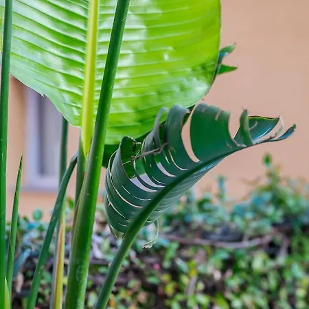 Duomo - Jacuzzi E Terrazzo - Cinema - Free Parking - Gym فيلة *