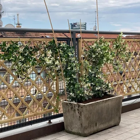 Monolocale Con Ampio Terrazzo *