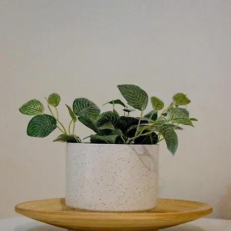 Charme Loft - 5 Min Duomo Apartman *