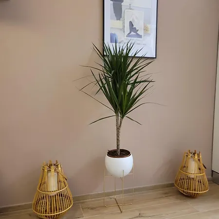 La Casa Sole Apartment