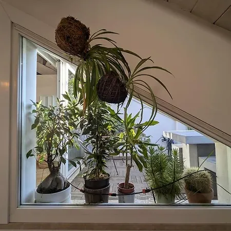 아파트 Superwhite Loft&terrace In Brera *