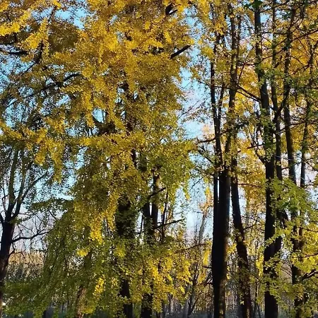 Apartman La Pace Milánó