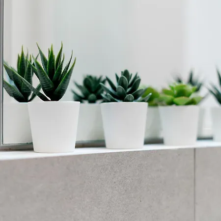 Urban Studio, Politecnico-lambrate Lejlighed Milano