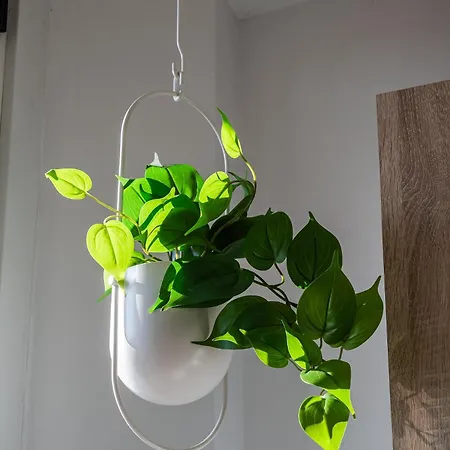 Botticelli 24 Lägenhet *