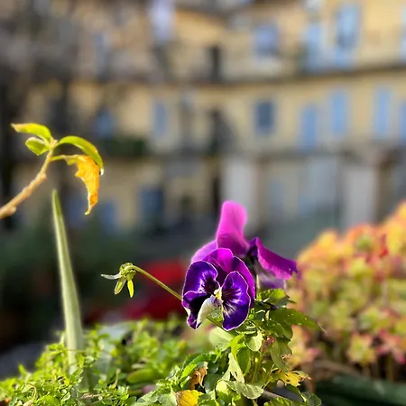 Apartment Lovelyloft, Via Meda *