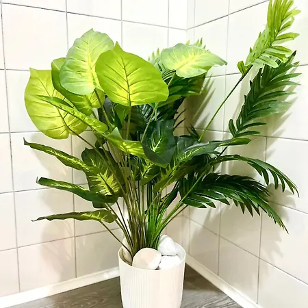 Golden Star Mediolan