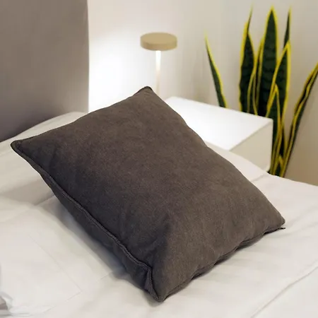 Comecasa Modern Terraced & Palestra