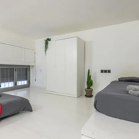 Apartament Trilocale Nolo