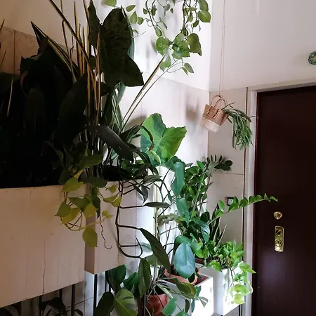 ホームステイ Privata Con Bagno E Garage