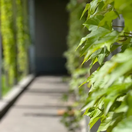 Loft G Hospitality 住宿加早餐酒店 4*