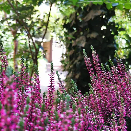 Cozy Flat 50 Meters From The Metro Lejlighed Milano