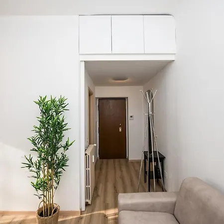 Shortmi Buenos Aires