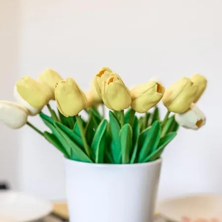 Duomo Design - Bilocale-wifi-ac