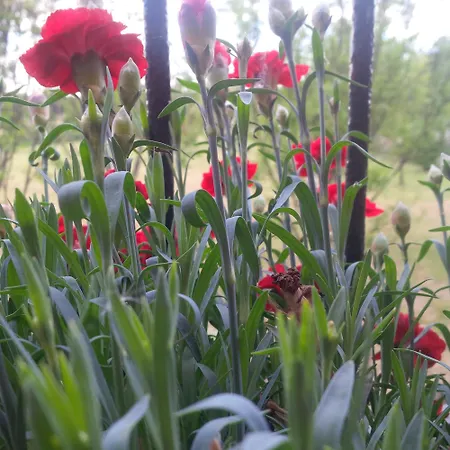 With Terrace And Loft With Garden In Naviglio Pavese Penzion Milán