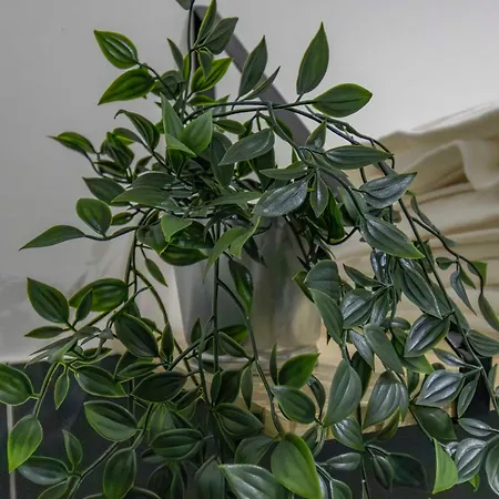 Stradivarius House - Carozzi * ميلان