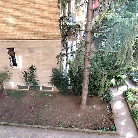 Monolocale In Quartiere Nolo