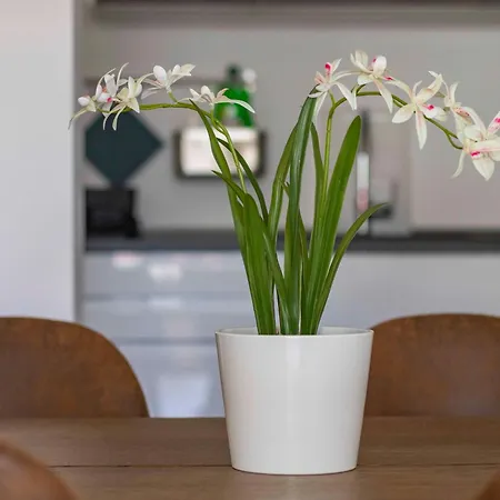 Apartamento Bright House - Carozzi