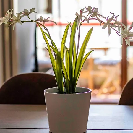 Apartamento Bright House - Carozzi *